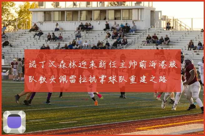 诺丁汉森林迎来新任主帅前海港狼队教头佩雷拉执掌球队重建之路