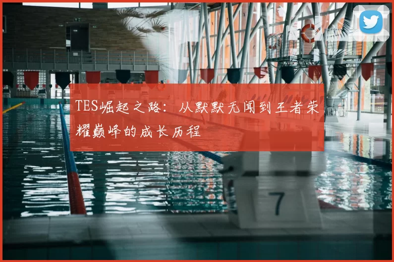 TES崛起之路：从默默无闻到王者荣耀巅峰的成长历程