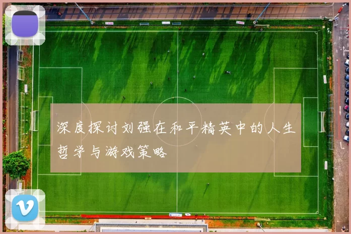 深度探讨刘强在和平精英中的人生哲学与游戏策略