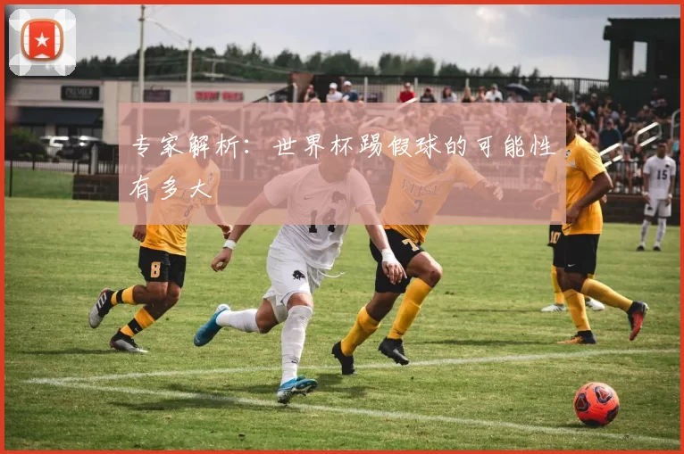 专家解析:世界杯踢假球的可能性有多大