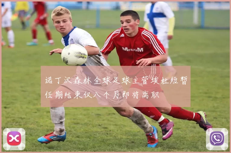 诺丁汉森林全球足球主管埃杜短暂任期结束仅八个月即将离职