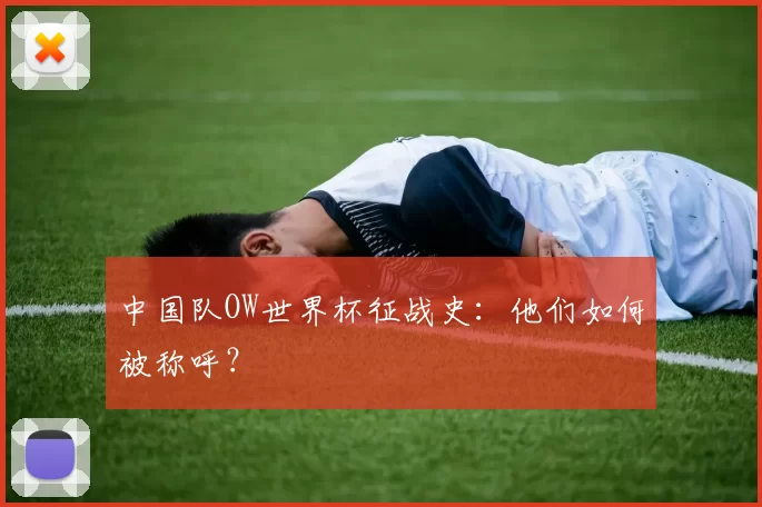 中国队OW世界杯征战史:他们如何被称呼?