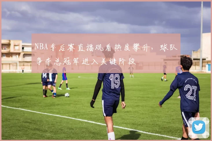 NBA季后赛直播观看热度攀升，球队争夺总冠军进入关键阶段