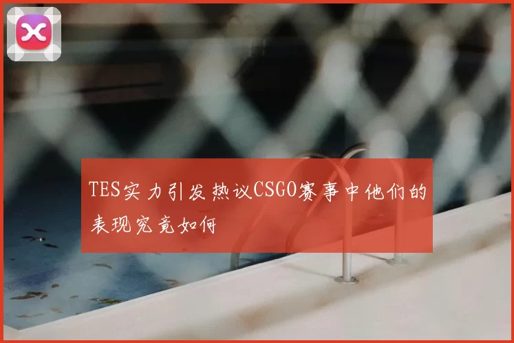 TES实力引发热议CSGO赛事中他们的表现究竟如何