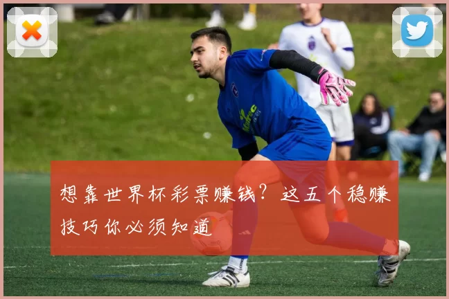想靠世界杯彩票赚钱？这五个稳赚技巧你必须知道