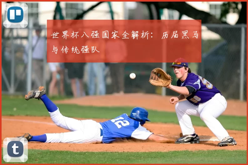 世界杯八强国家全解析:历届黑马与传统强队